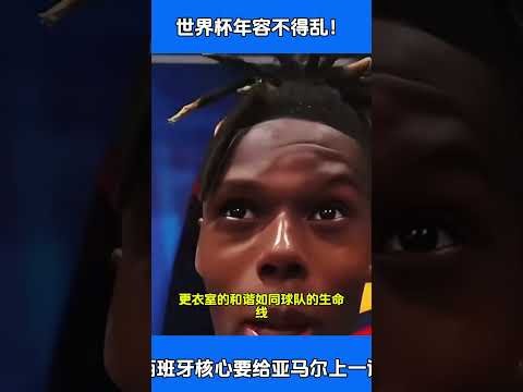 岁菲将遇世,四高手网前,高招,香港赛马会,香港马会,赛马活动,马术资讯